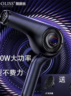 酷丽丝电吹风机大风力大功率负离发店专用子护发发廊专用发型师理