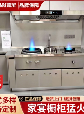 家用橱柜一体猛火灶风机家宴猛火然煤气液化气节能灶燃气灶双灶天