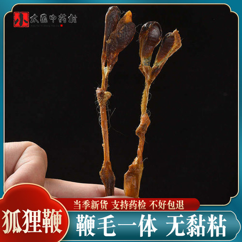 狐狸鞭5条泡酒料食用农产品滋补狐狸鞭另售牛鞭驴鞭貂鞭蛇鞭干货