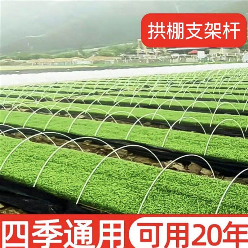 新款农用小拱棚拱杆支架育苗保温温室大棚支架