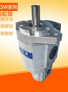 新款液压齿轮泵CBQW-E536/F306-AFH E550/F306-AFH E540/F310包邮