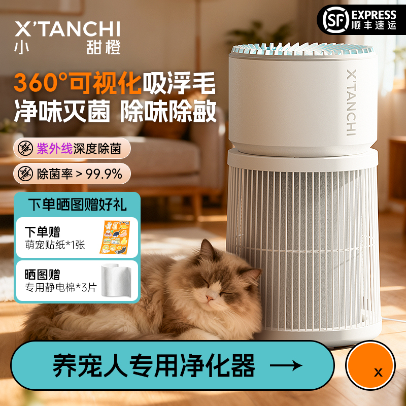 小甜橙空气净化360度高效吸毛