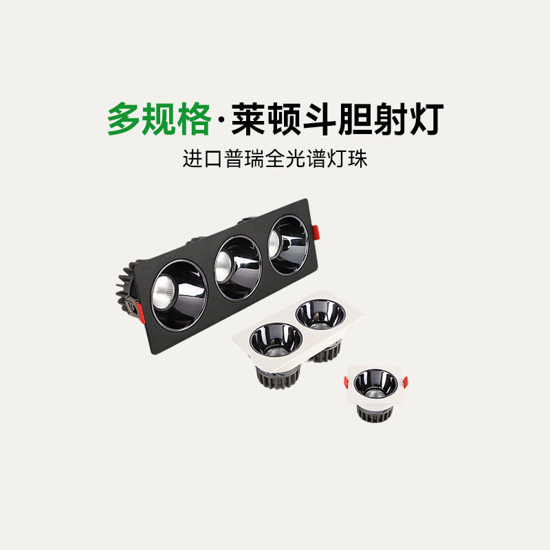 莱顿双头射灯嵌入式客厅格栅灯长方形家用无主灯天花板灯单头斗胆