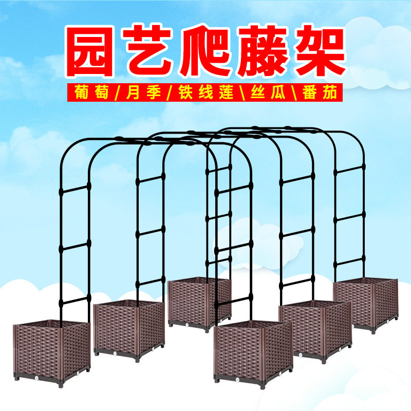 园艺 爬藤支架 鲜花铁艺拱门花架 丝瓜黄瓜番茄 拱形大棚
