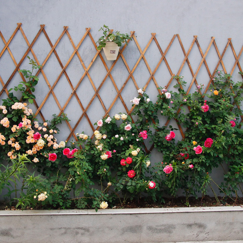 户外防腐木栅栏伸缩篱笆藤架花园