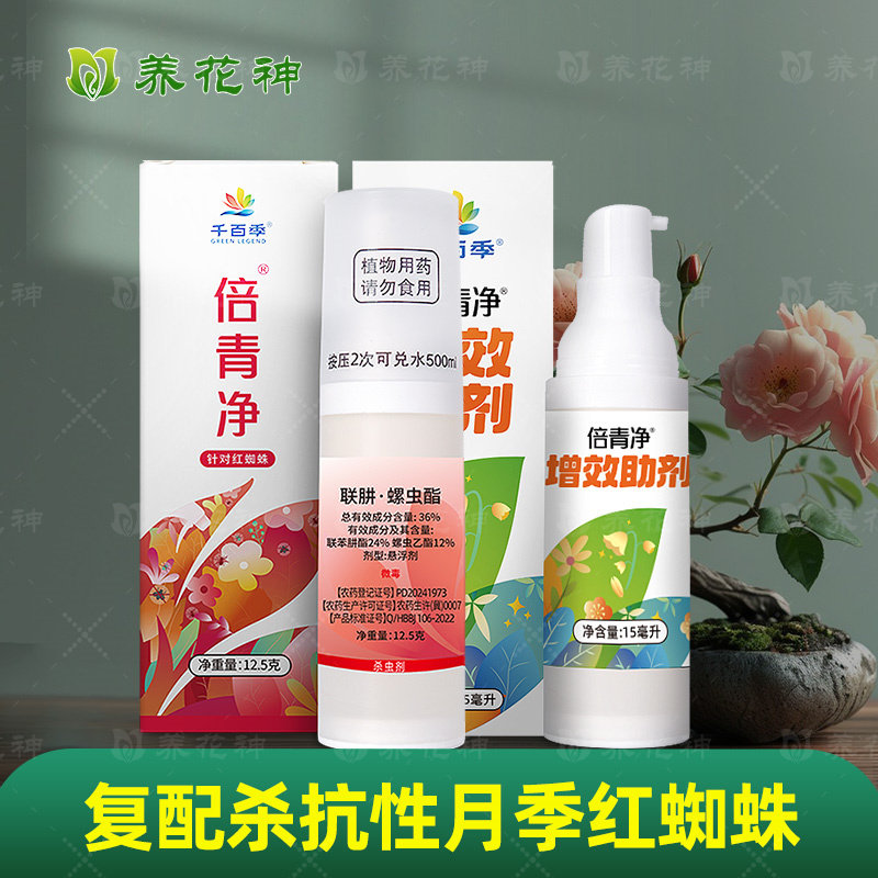 倍青净杀红蜘蛛月季专用杀虫剂图片