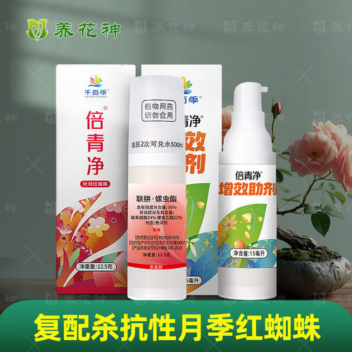 倍青净杀红蜘蛛月季专用杀虫剂