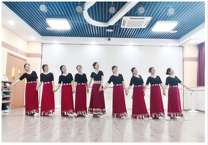 藏族半身裙艺考练习裙广场舞蹈演出服装女练功大摆裙臧族练习裙子