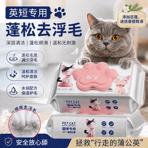 英短猫咪湿巾顺毛亮毛舔舐无忧