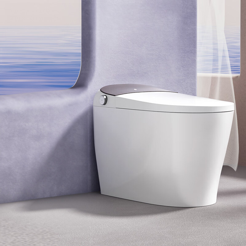 京东京造黑鲸w2.0智能马桶全自动一体式无水压限制感应家用坐便器