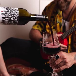 火爆澳洲五星名庄sticks思绨可斯霞多丽干白黑皮诺赤霞珠红葡萄酒