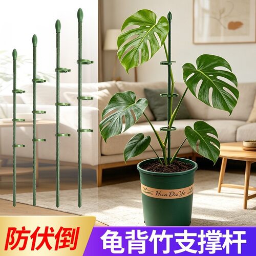 花架龟背竹支撑杆绿植防倒伏支架