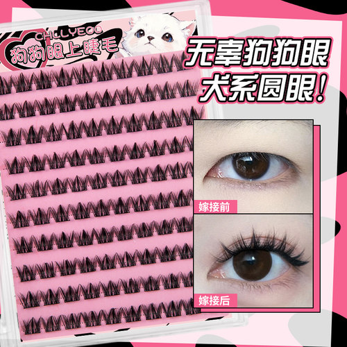 犬系狗狗眼假睫毛浓密系列