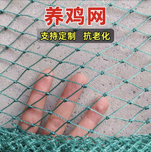 养殖网围栏网护栏栅栏网子户外菜园隔离山鸡家禽尼龙塑料网拦鸡网