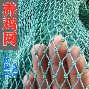 围栏养鸡网尼龙网菜园围栏网鸡网围网养殖网拦鸡网塑料网户外拦网