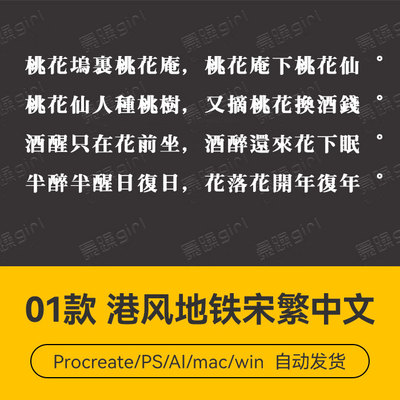 Procreate/Win/GoodNotes/Mac   港风地铁宋体繁体中文字体安装包