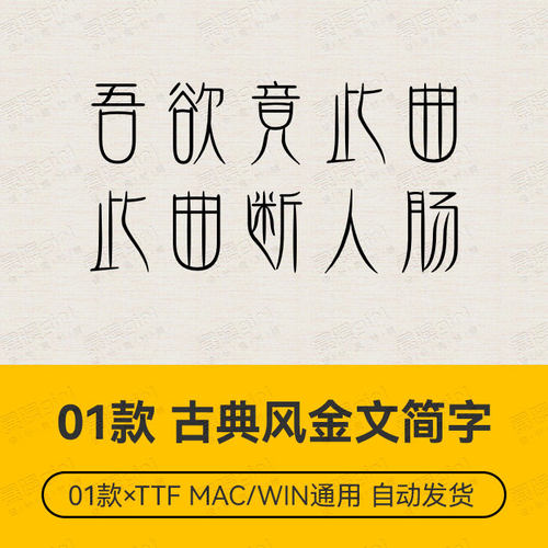 Procreate/Win/GoodNotes/Mac通用 古风古典金文中文简体设计字体