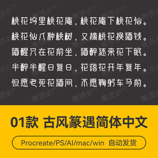 Procreate/Win/GoodNotes/Mac       古风篆遇简体中文字体安装包