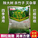 環嗪酮除草爛根劑大竹子枯死藥環嗪哃爛根滅殺竹除草劑專用竹子藥