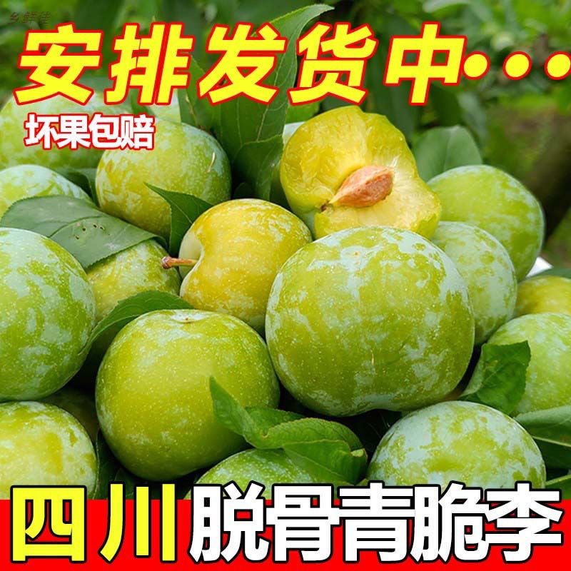 脱骨李新鲜空心土李子冰糖李孕妇四川水果非蜂糖李现货