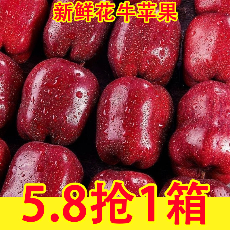 甘肃天水花牛苹果10斤新鲜水果当季正宗平果红蛇粉面丑果整箱包邮
