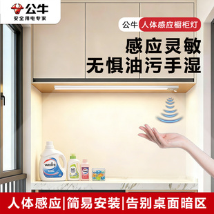 公牛橱柜灯带无线自粘磁吸免插电感应灯带玄关装饰衣柜照明灯条