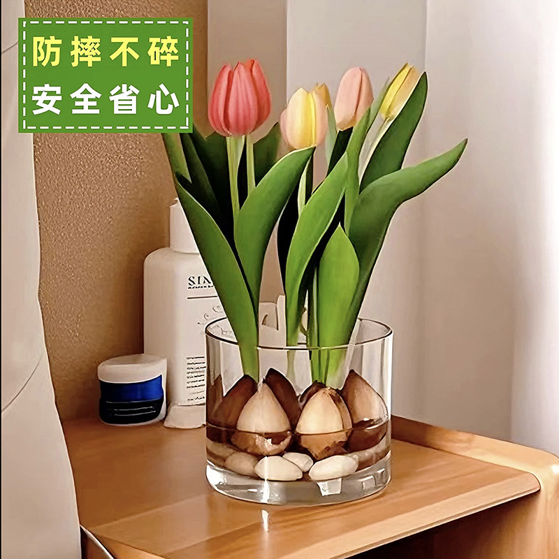 郁金香土培花瓶水培透明方缸水养百合郁金香水仙白掌客厅小花盆