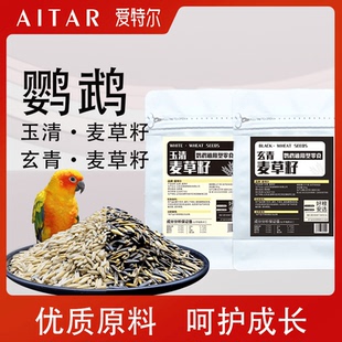 AITAR天然麦草籽鹦鹉鸟粮饲料牡丹太阳玄凤虎皮鸟零食爱特尔带壳