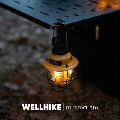 WELLHIKE户外锁扣松果灯