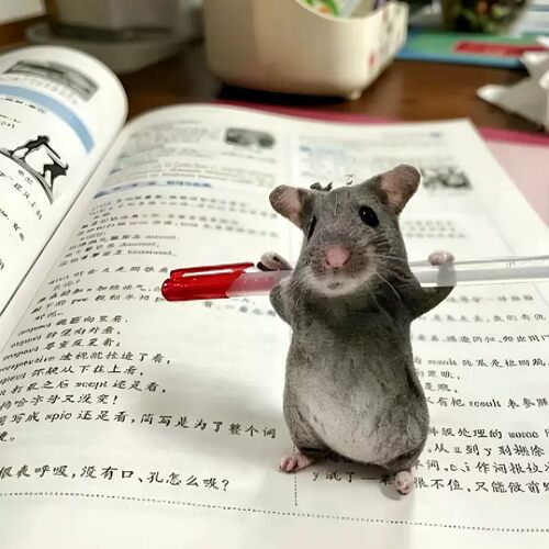 可爱仿真搞怪老鼠干挂件恶搞礼物抽象公仔生日送朋友同学可爱装饰