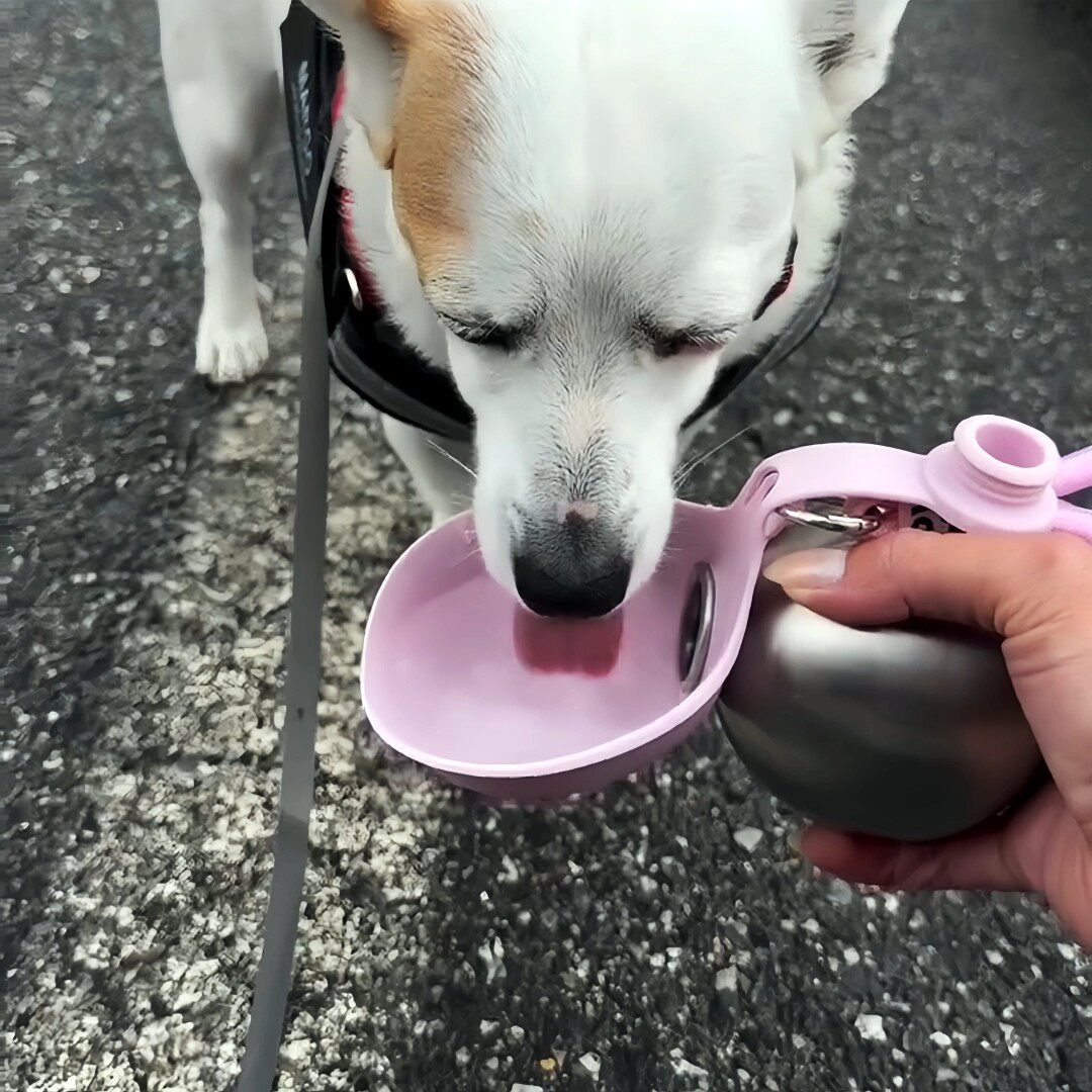宠物用品狗狗外出便携饮水壶可折叠随身杯一体球形饮水器宠物水壶