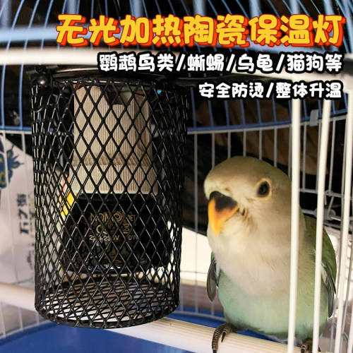 鹦鹉鸟类无光陶瓷保温灯取暖恒温过冬防咬防烫灯罩宠物窝加热日本