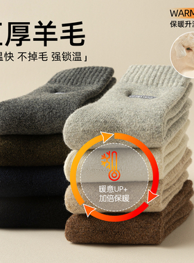 羊毛袜子男款秋冬加绒加厚中筒袜毛圈袜保暖防臭睡眠地板长袜冬天