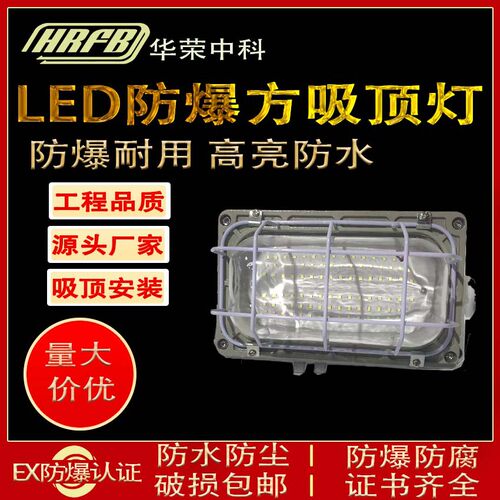 直销防爆壁LED灯吸顶30W带网防水防潮方形防潮壁灯吸顶安装