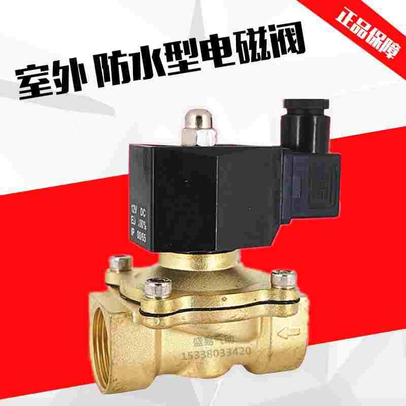 1寸室外专用防水电磁阀水阀开关阀2W250-25 防雾气阀AC220V DC24V