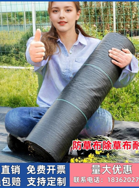 农用防草布除草布耐用果园果树遮盖草切片抗老化地布地丁厂家直销