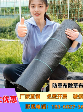 农用防草布除草布优质果园单张切片抗老化透气保湿园艺地布直销