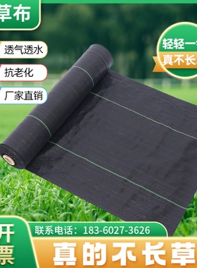 农用防草布除草布耐用果园果树遮盖盖草抗老化地布地丁厂家直销