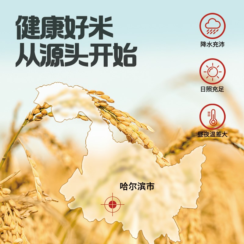 稻皇妃东北有机胚芽米5斤宝宝黄小F米营养送婴幼儿辅食大米优质