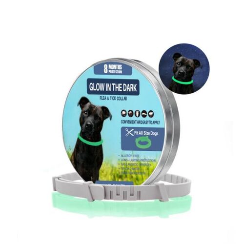 New 8 Month Flea & Tick Prevention Collar For Cats Dog Harne
