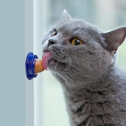 Cat Snacks Catnip Sugar Cat Treats Energy Ball Candy Licking