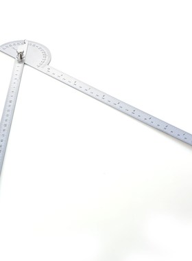 2*30 cm Goniometro Ruler Goniometer Stainless Steel Protract