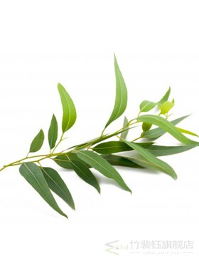 AKARZ Famous brand eucalyptus essential oil Beauty care Rel