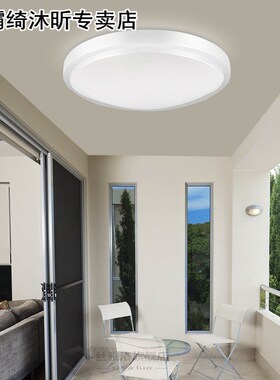 Simple modern home LED ceiling lights living room balcony la