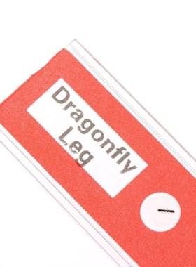 48 Pcs Prepared Microscope Slides Specimen Animals Insects P