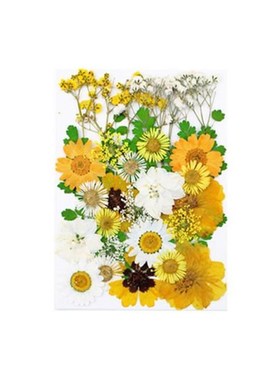 Real Dried Flower Plant For Aromatherapy Candle Epoxy Pendan