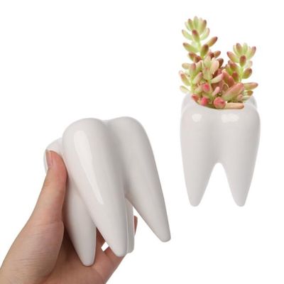 Tooth Shape Ceramic Flower Pot Green Succulent Planter Cactu