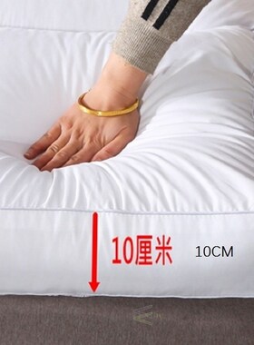 Tatami Futon Hotel Thickened Comfortable Floor-Mattress/bed