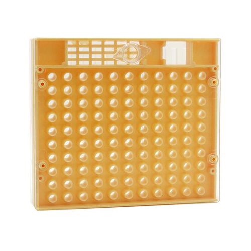 Beekeeping Queen Bee Rearing System Beehive For Beekeeper Pl