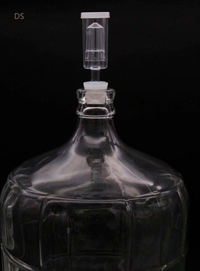 Airlock Carboy Snug Kit Homebrew Beer amp; Wine Glass Carboy